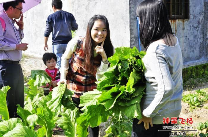 nEO_IMG_照片 782.jpg