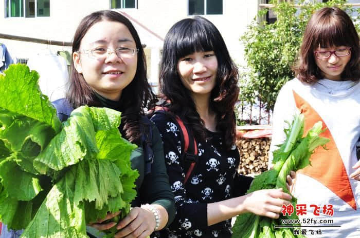 nEO_IMG_照片 817.jpg