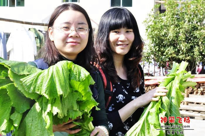 nEO_IMG_照片 821.jpg