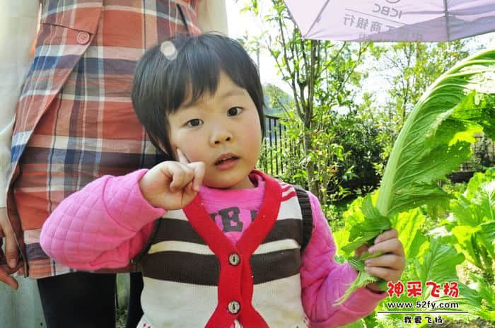 nEO_IMG_照片 802.jpg