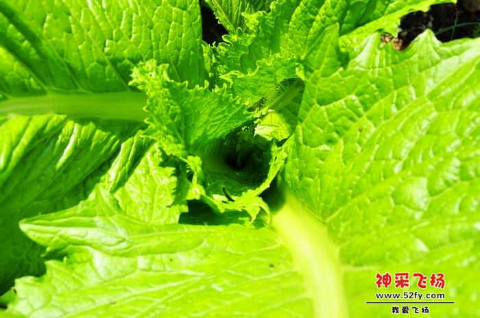 nEO_IMG_照片 873.jpg