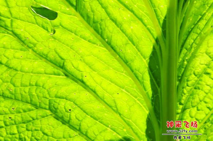 nEO_IMG_照片 868.jpg