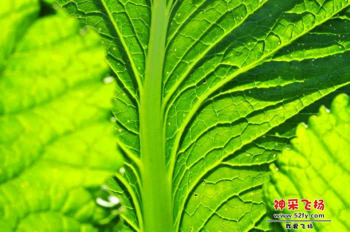 nEO_IMG_照片 867.jpg