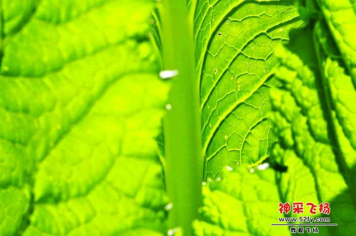 nEO_IMG_照片 866.jpg