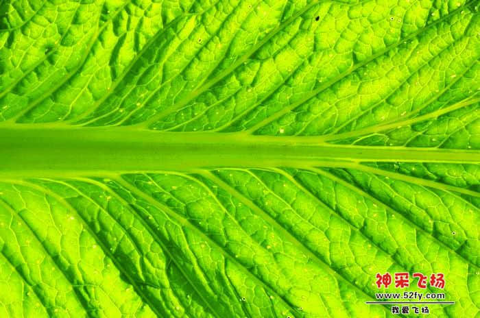 nEO_IMG_照片 861.jpg