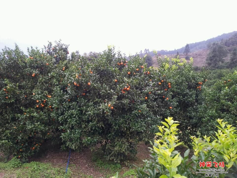 20130103_145028.jpg