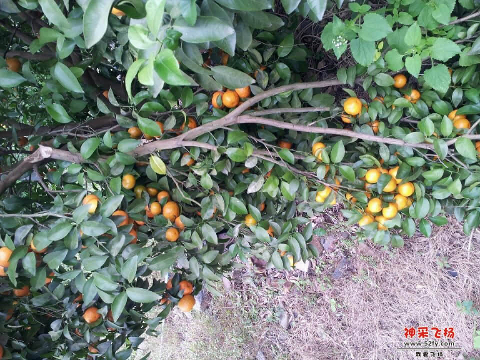 20130103_145716.jpg