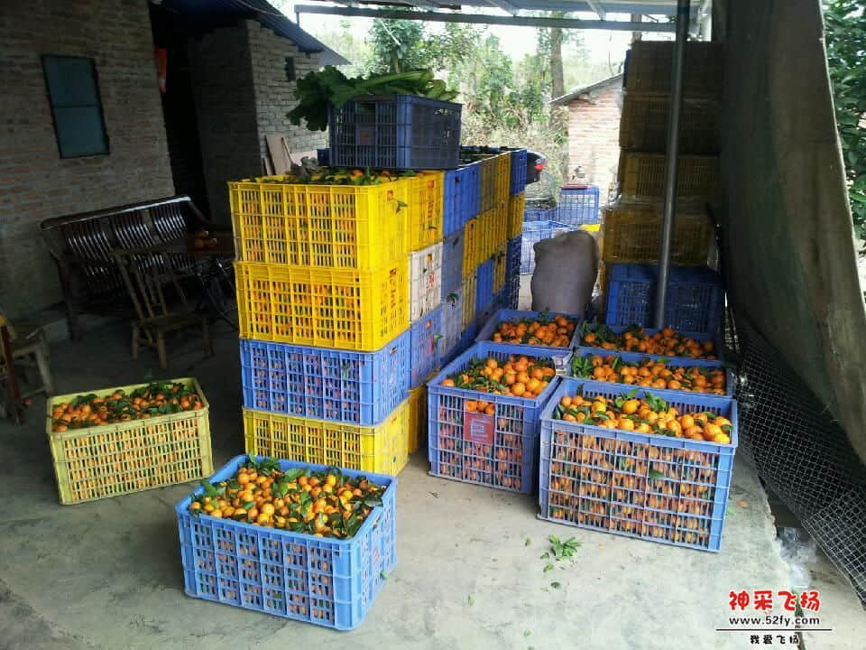 20130103_153756.jpg