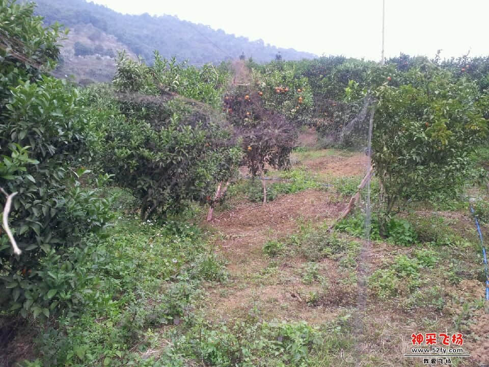 20130103_145154.jpg