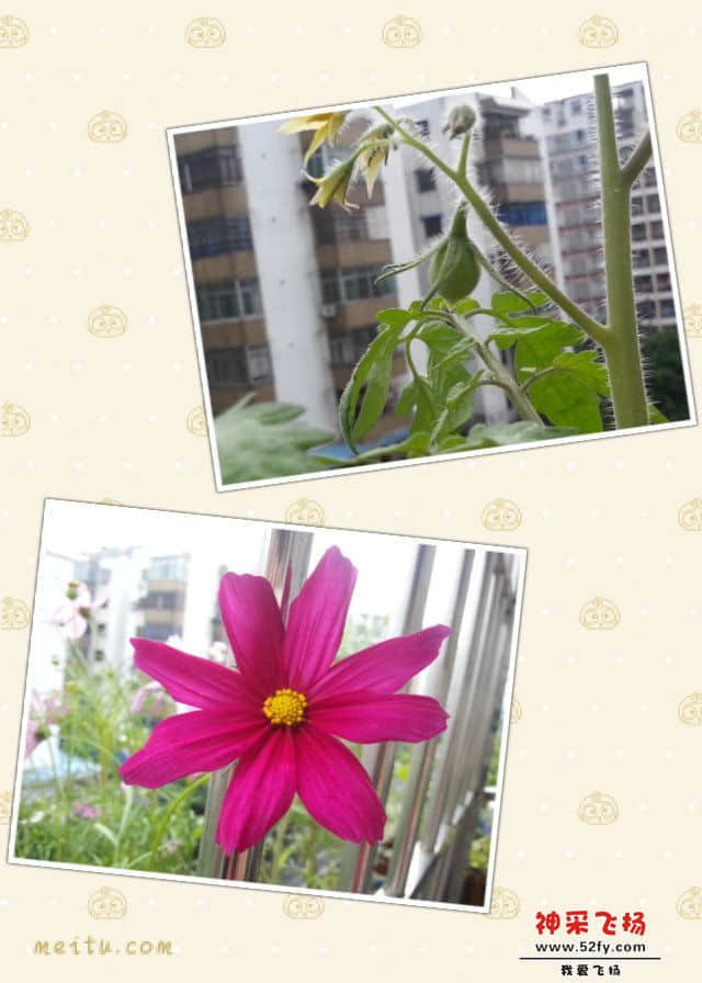 pt2013_05_16_07_02_45.jpg