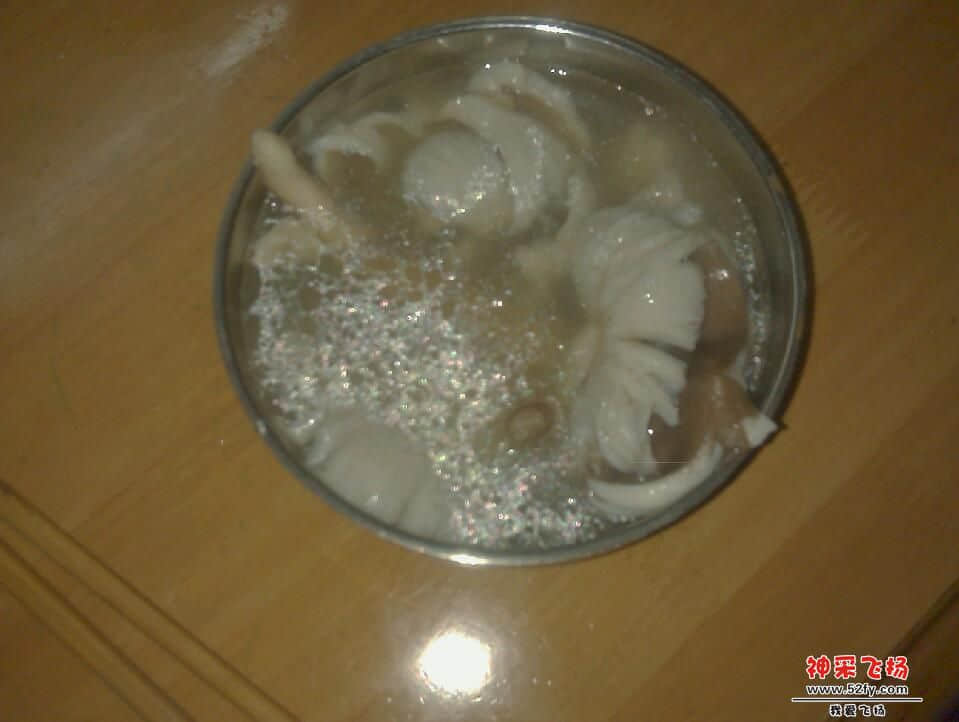IMAG0524.jpg
