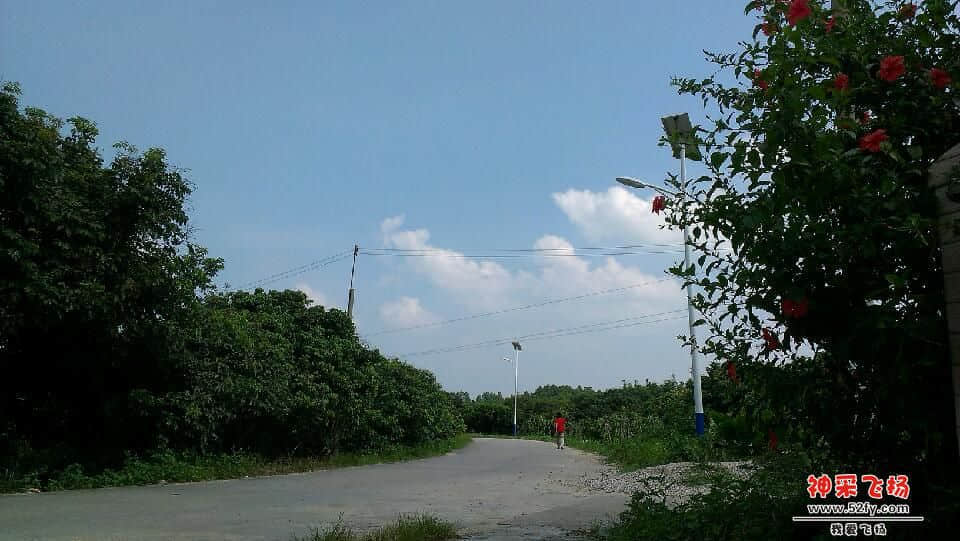 IMAG0681.jpg