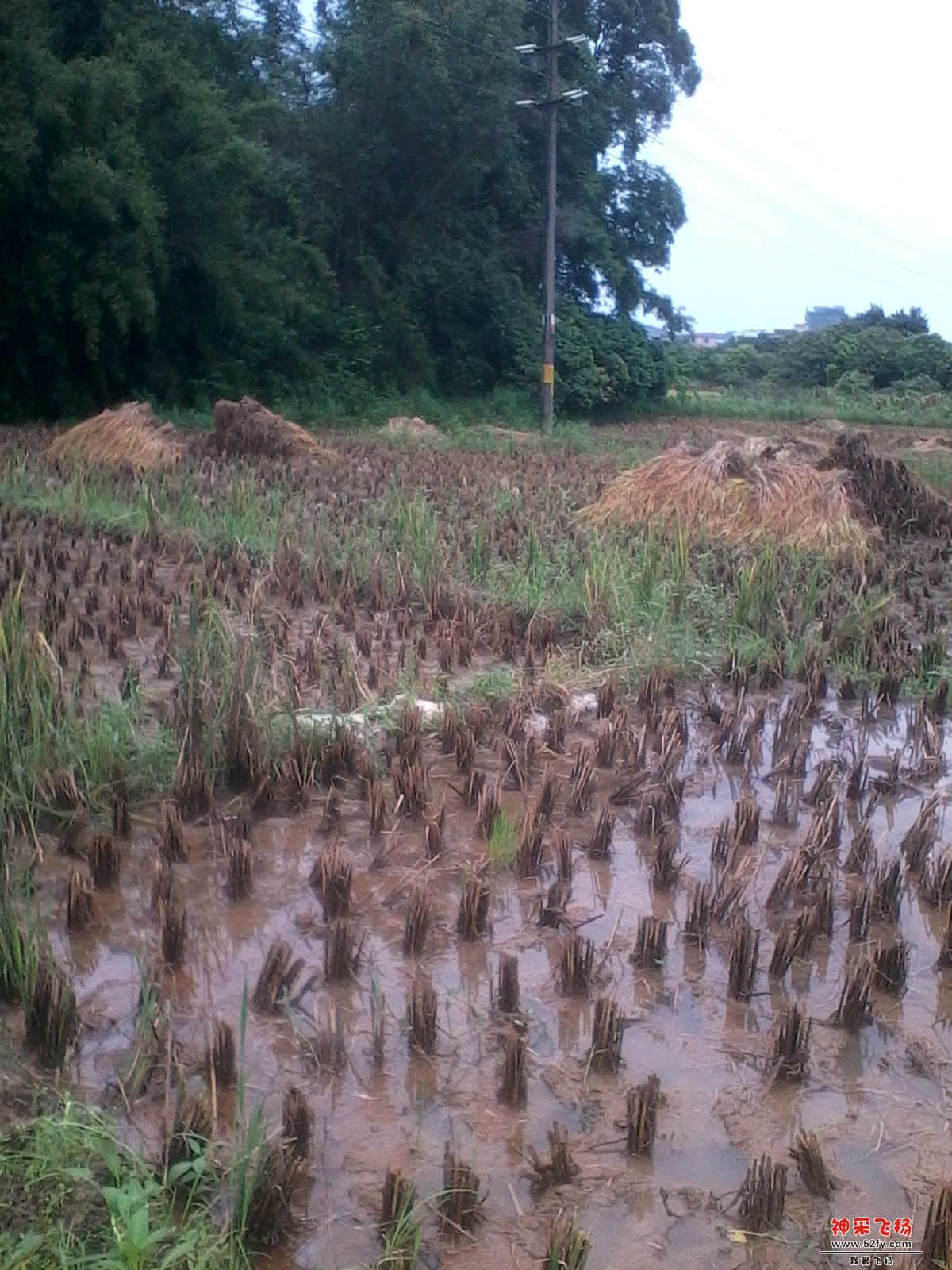 旋转 IMG_20130720_131142.jpg