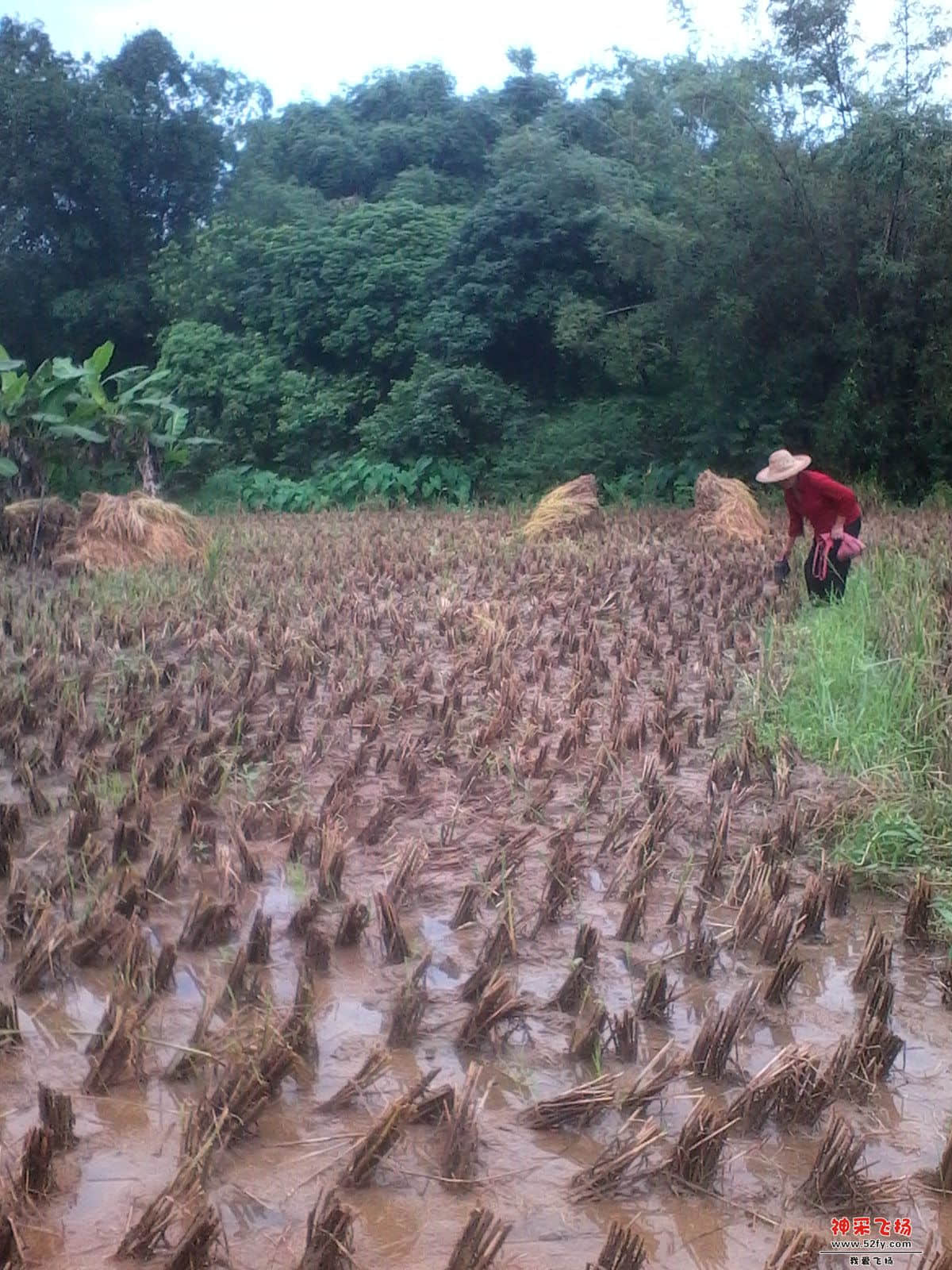 旋转 IMG_20130720_131148.jpg