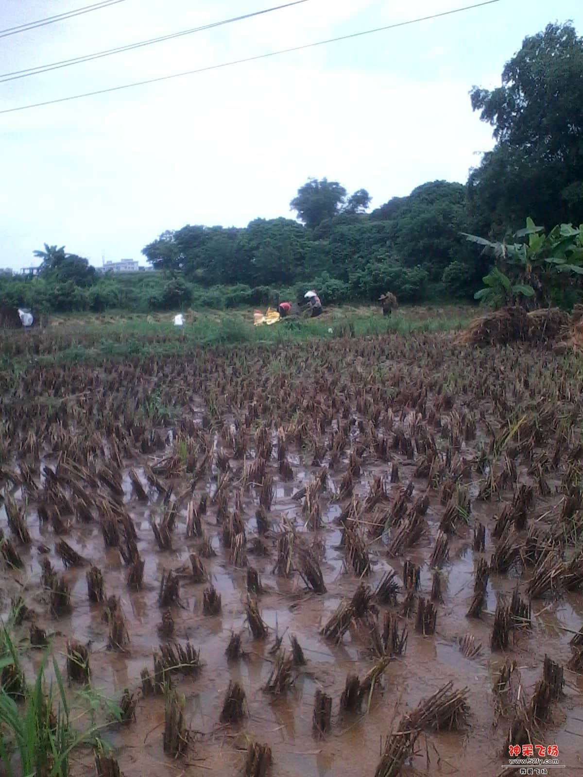 旋转 IMG_20130720_131156.jpg