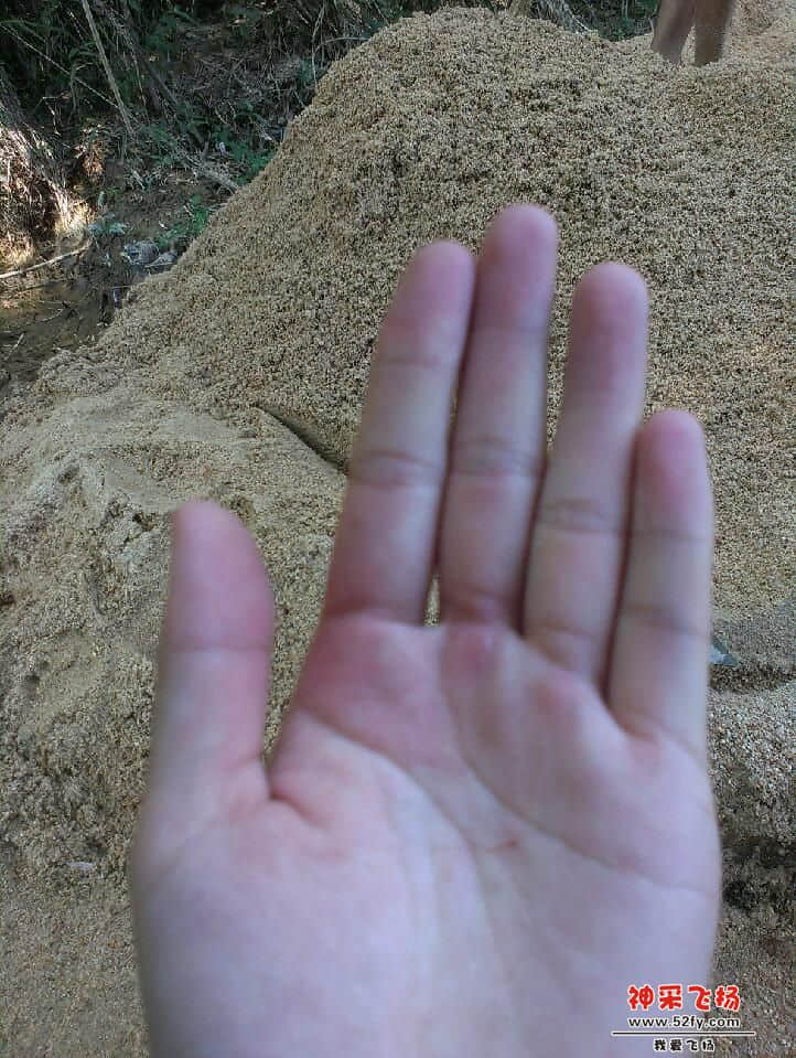 IMAG1016.jpg