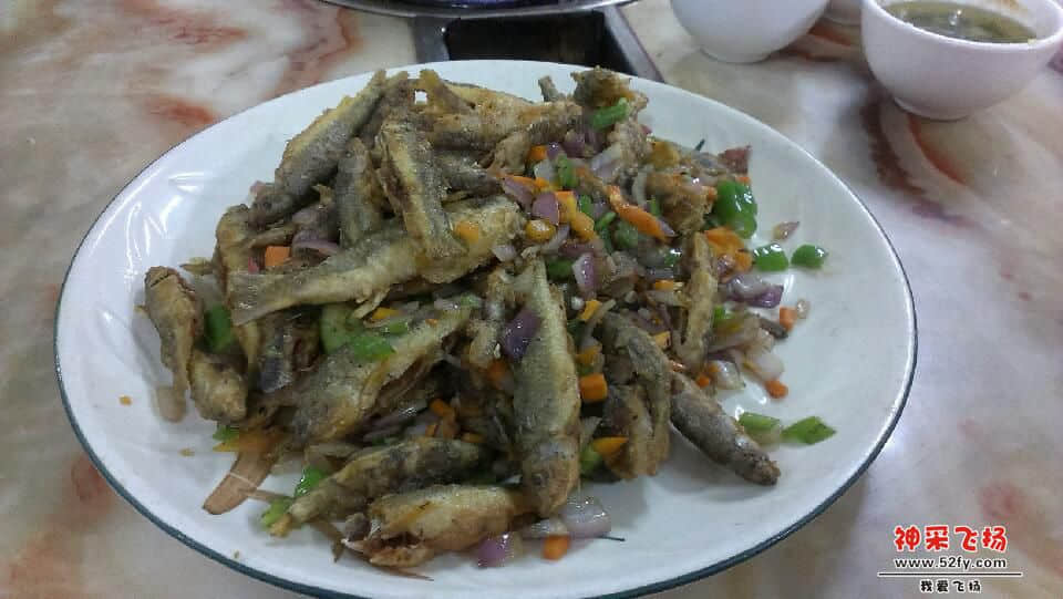 IMAG0588.jpg