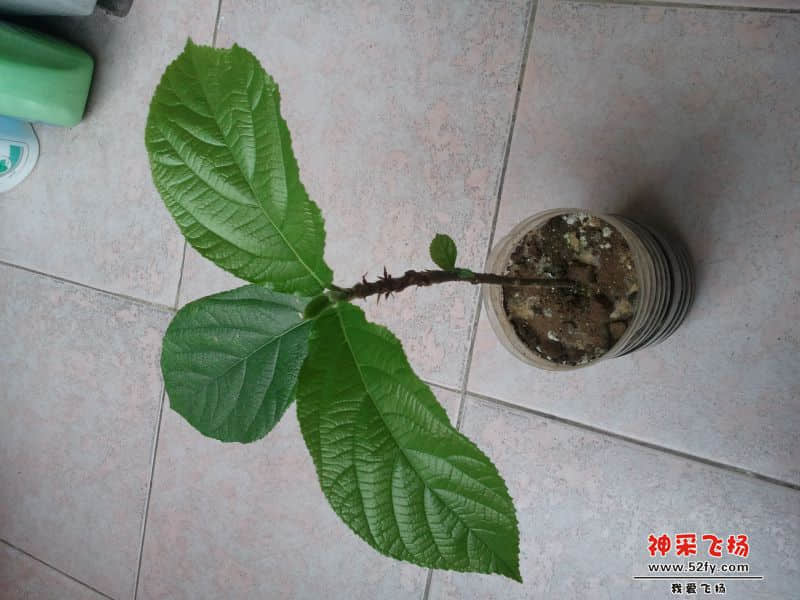 2013-11-20 12.19.36.jpg