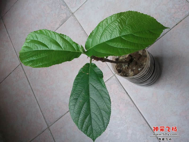 2013-11-20 12.18.36.jpg