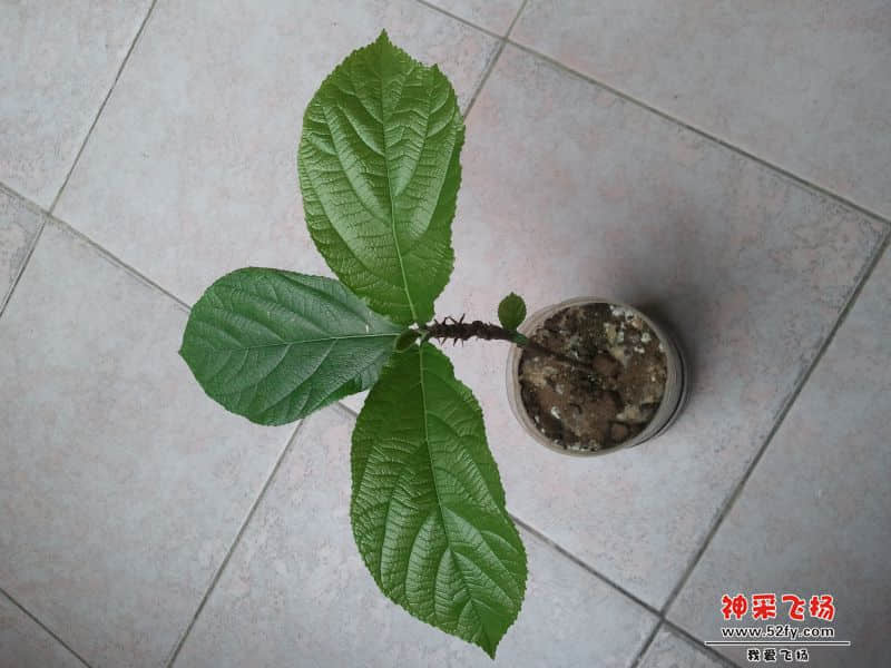 2013-11-20 12.19.07.jpg