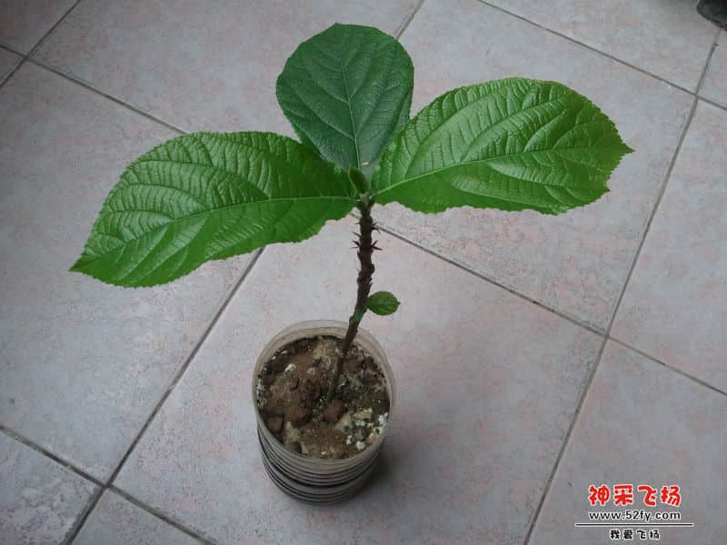 2013-11-20 12.19.16.jpg