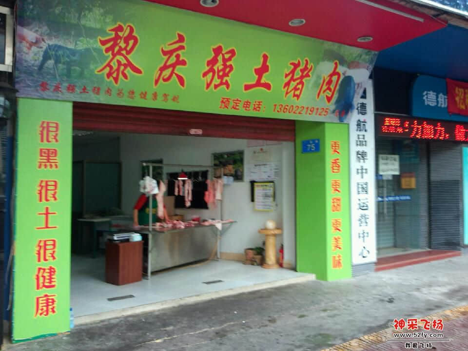 P40309-113735.jpg