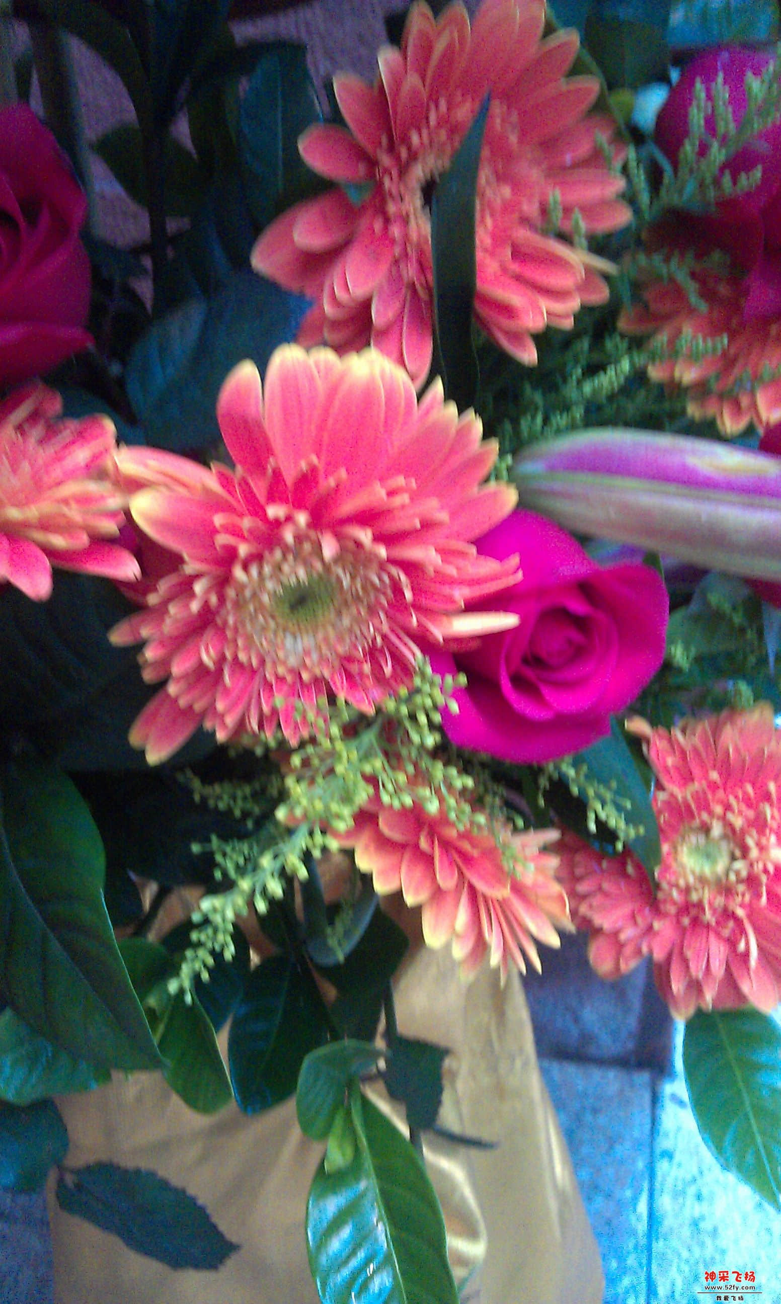 花5.jpg