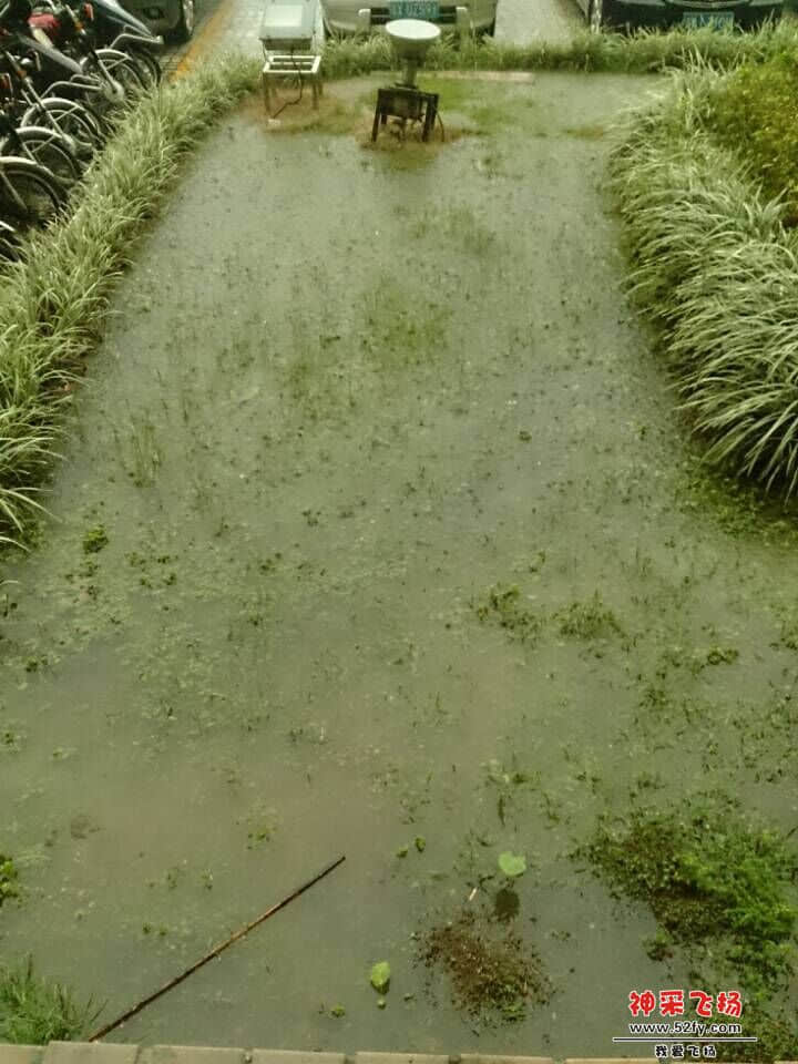 511从化暴雨橙色预警
