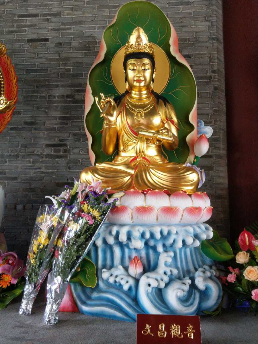 IMAG0182.jpg