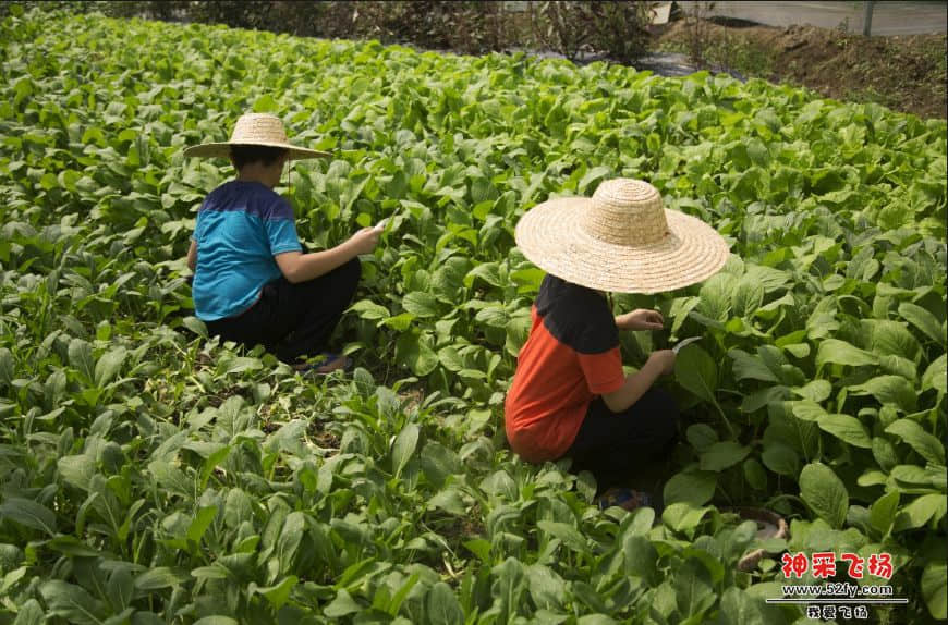 QQ截图20170511161803 副本.jpg