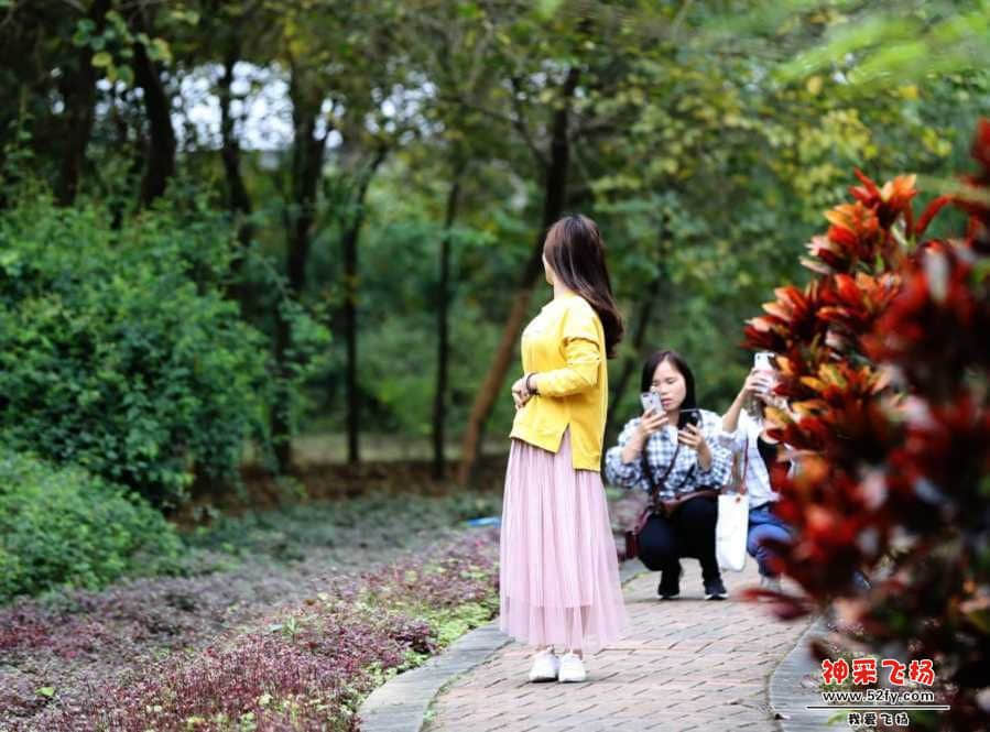 wechat_upload15507376665c6e6102ba3e7