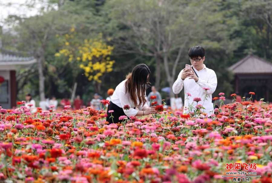 wechat_upload15507376675c6e6103de493