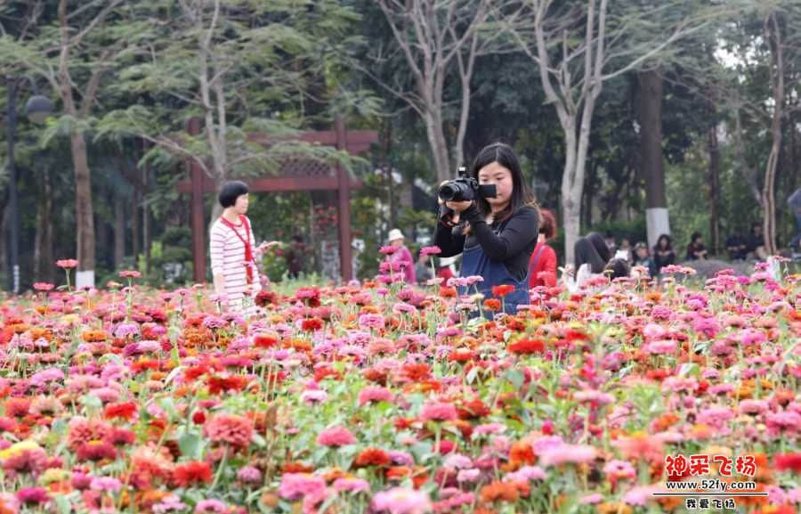 wechat_upload15507376685c6e61048a32e