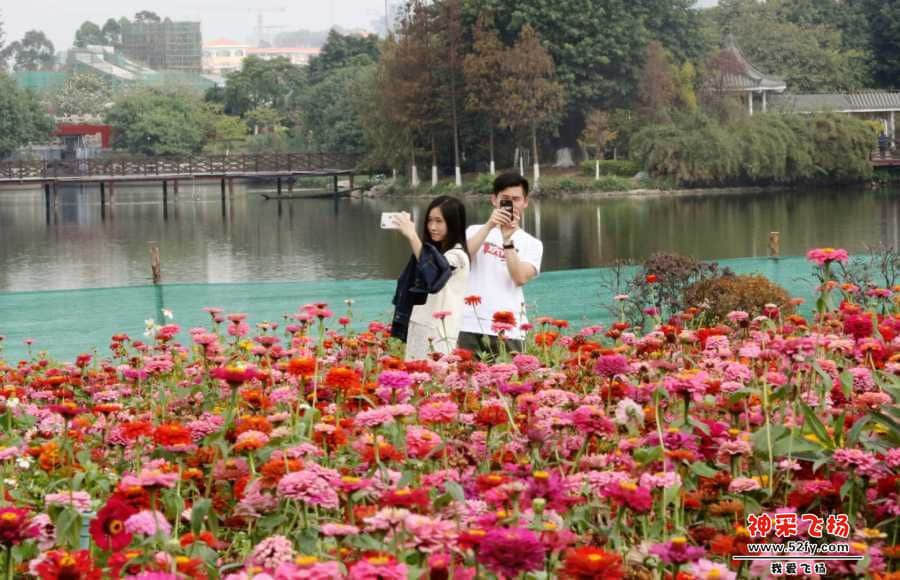 wechat_upload15507376695c6e6105347d0