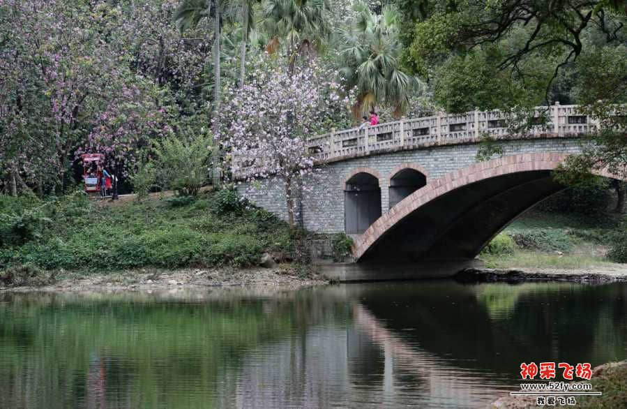 wechat_upload15507376705c6e610660d46