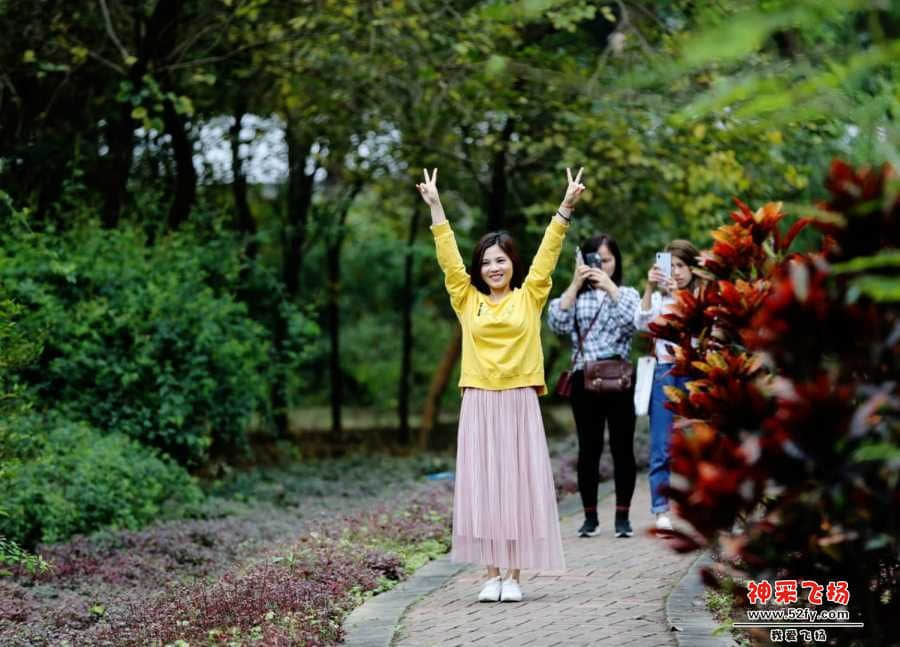 wechat_upload15507376715c6e610702648