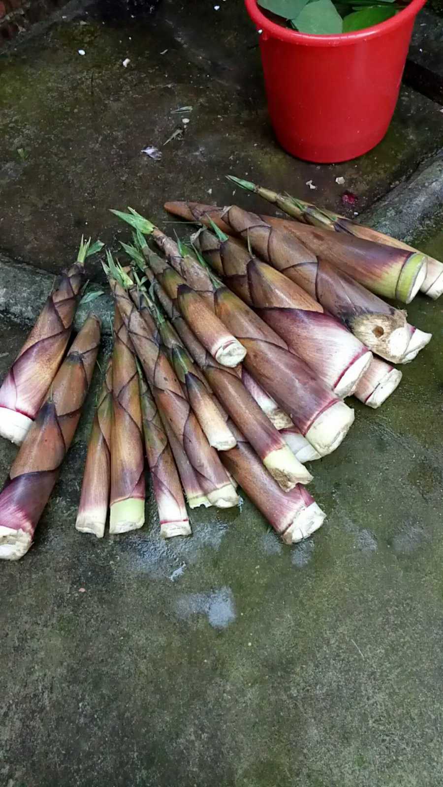 wechat_upload15545272435ca8340b56545