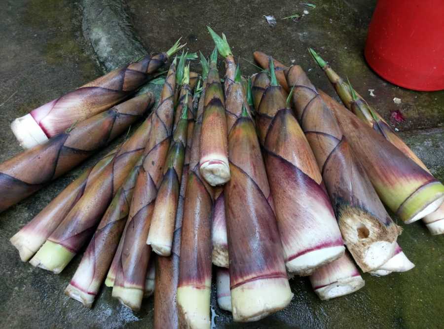 wechat_upload15545272555ca83417c96db