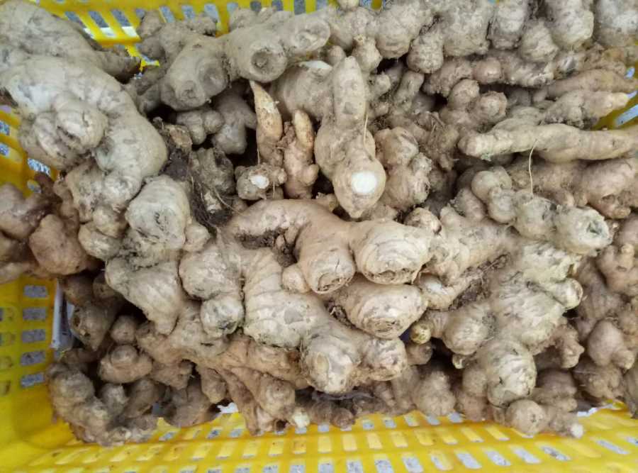 wechat_upload15545273615ca834817b3d5