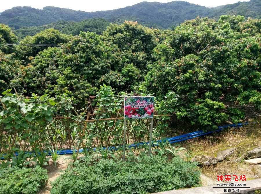 wechat_upload15611105455d0ca811d94dd