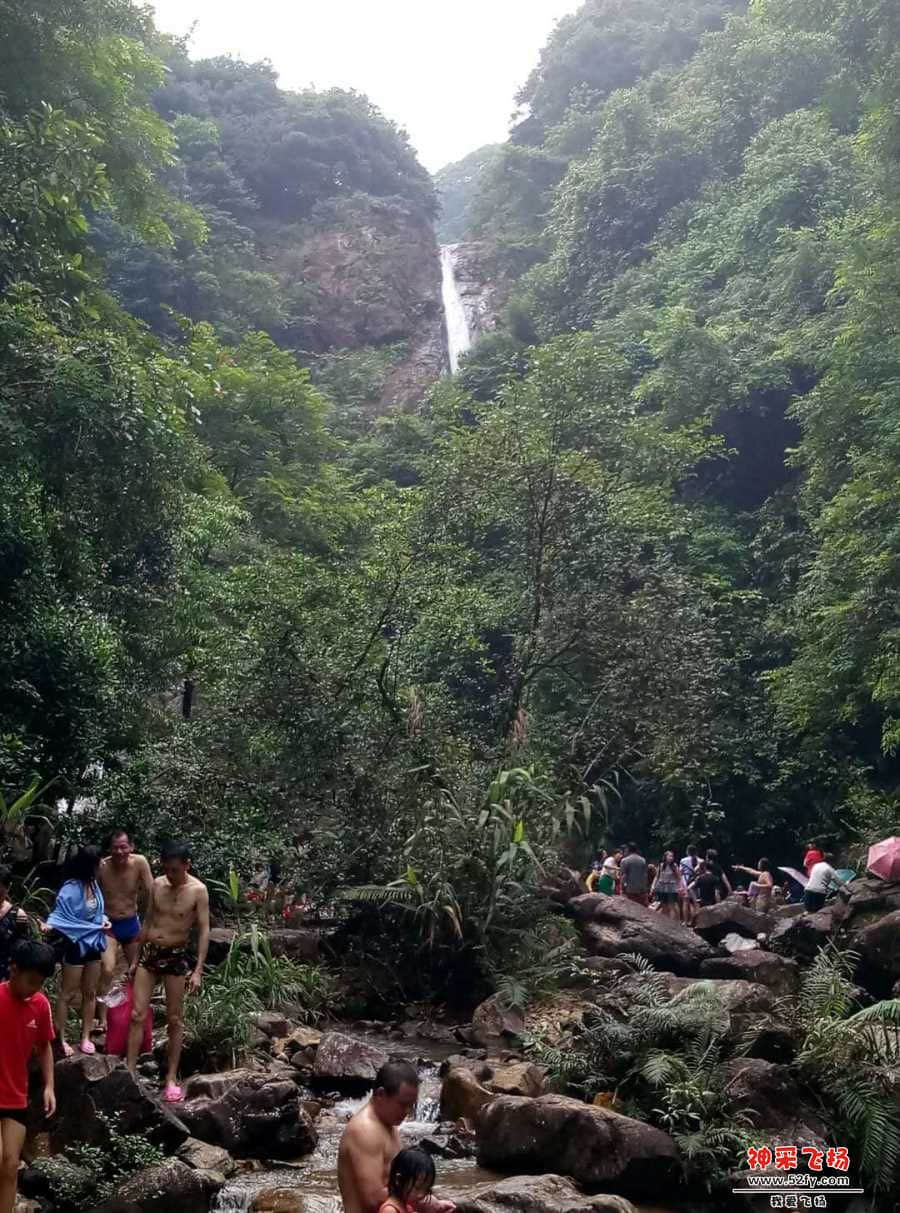 wechat_upload15632160845d2cc8d499cca