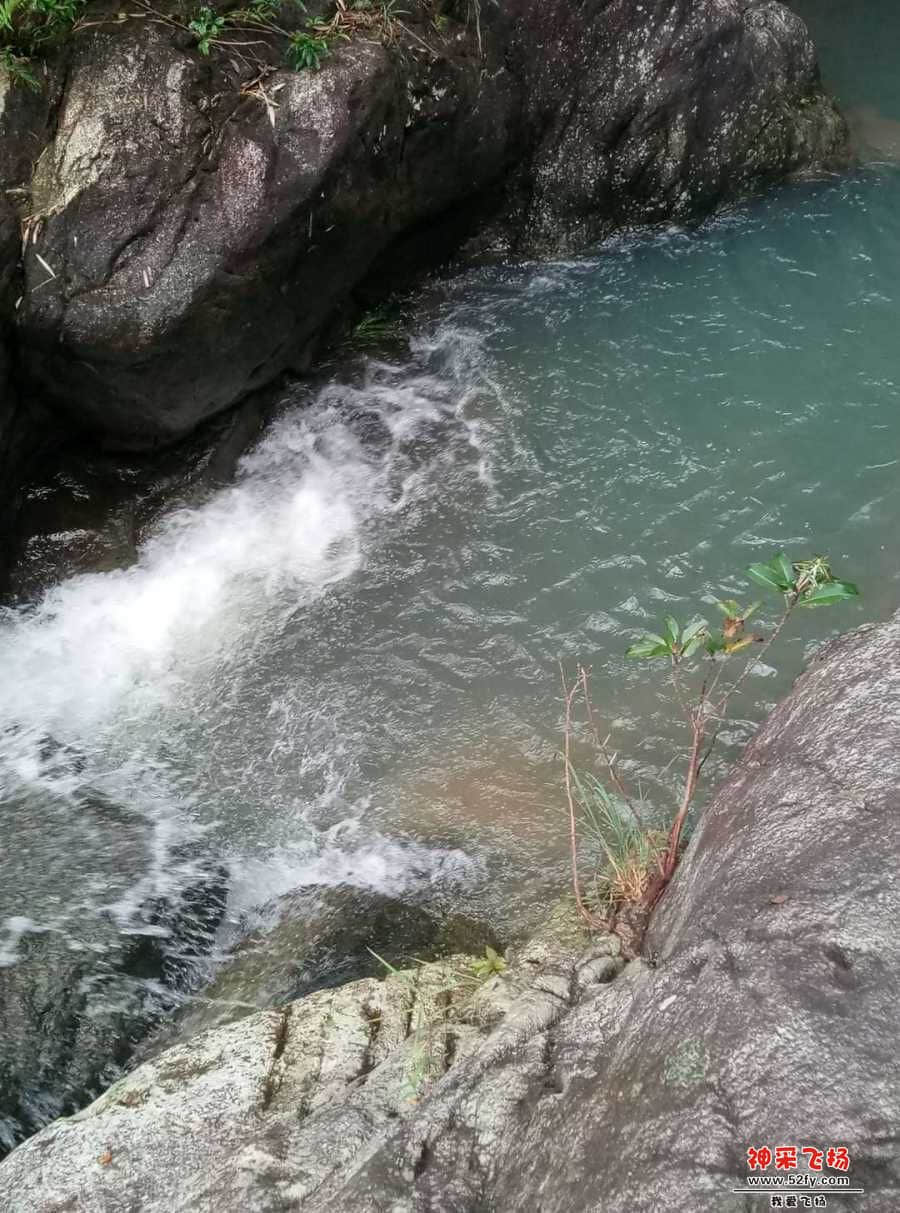 wechat_upload15632160865d2cc8d61017a