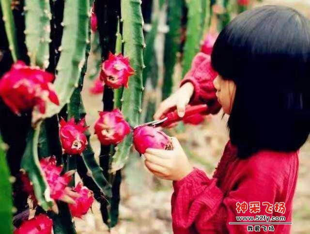 wechat_upload15632169545d2ccc3a85331