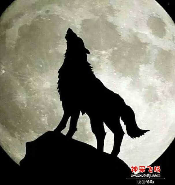 wechat_upload15651041955d4998438e50d