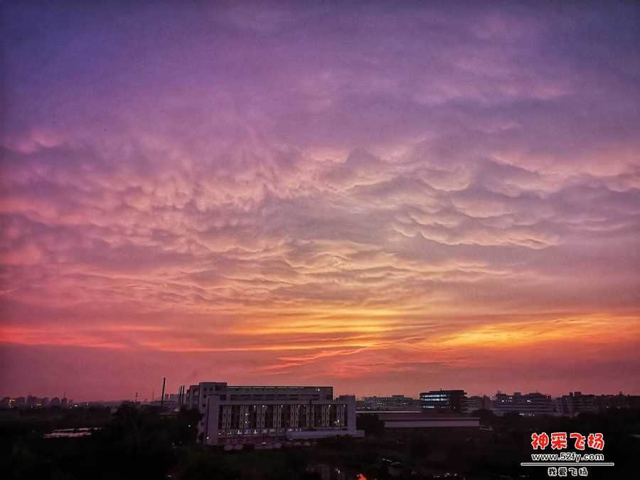 wechat_upload15656095765d514e68a1012