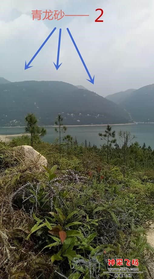 左护青龙—2.jpg