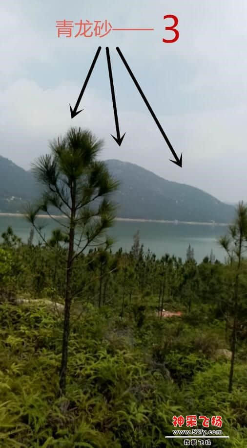 左护青龙—3.jpg