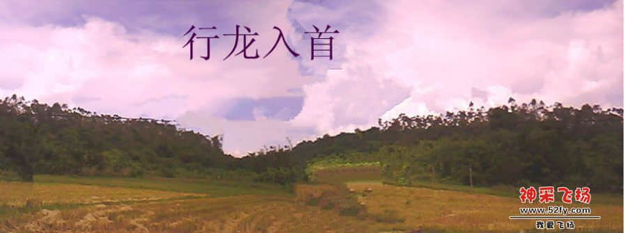 贵龙入首.jpg