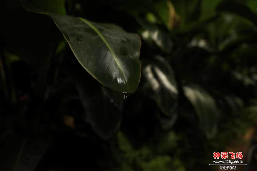 wechat_upload15673258825d6b7ebaa64e3