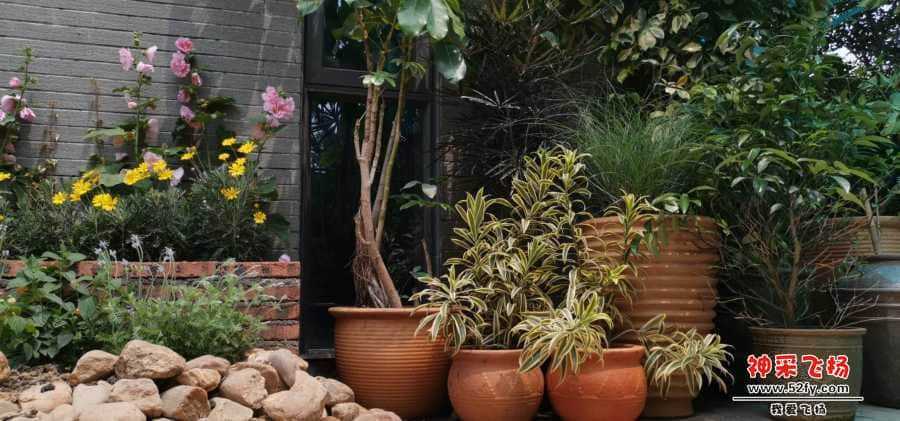 wechat_upload15673258845d6b7ebc6f759